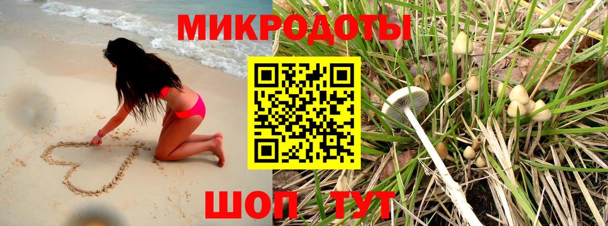 Псилоцибиновые грибы GOLDEN TEACHER Лесозаводск